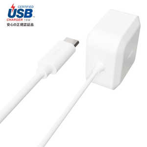 ラディウス USB-PD対応 USB-C 直結ACアダプター 1.2m RK-UPD18W ホワイト