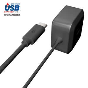 ラディウス USB-PD対応 USB-C 直結ACアダプター 1.2m RK-UPD18K ブラック