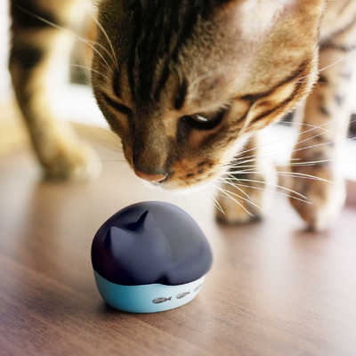 ラディウス 完全ワイヤレスイヤホン NEKO 猫 チャトラ [ ワイヤレス 