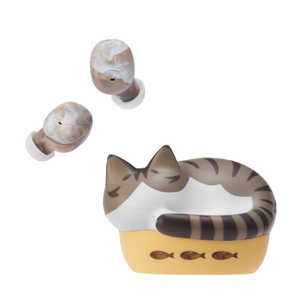 ラディウス 完全ワイヤレスイヤホン ［ワイヤレス(左右分離) / Bluetooth対応］ キジシロ HP-C28BTT