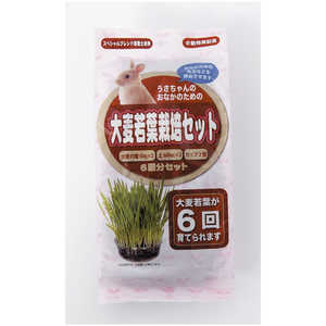 アラタ うさちゃん用 大麦若葉 栽培セット (6回分) 