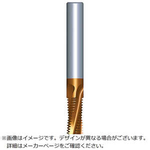 ノガジャパン 超硬ソリッドミルスレッドISO 06045C100.75ISOMT7