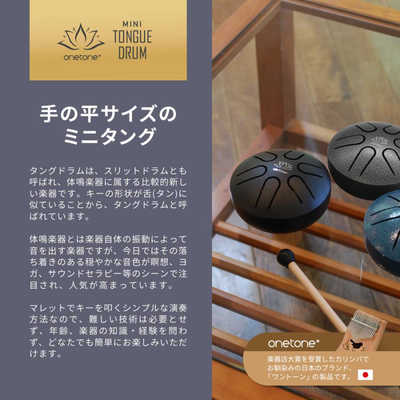 sundrum レア楽器