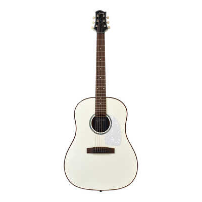 SYAIRI アコースティックギター S.Yairi YAJ-1200/SW の通販 