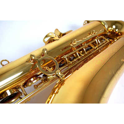 KAERNTNER テナーサックス KTN-65 の通販 - カテゴリ：オーディオ 