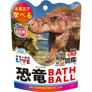 NOL GKN901 w̐}ӃCu oX{[2(Pi)