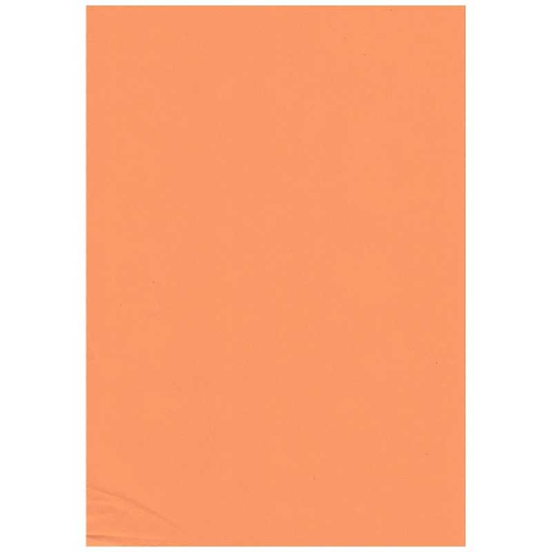 紀州製紙 紀州製紙 NEWファインカラーオレンジ(B5サイズ･500枚) NEWファインカラーB5500 NEWファインカラーB5500
