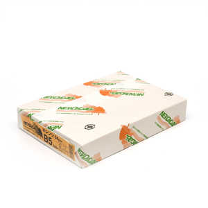 紀州製紙 NEWファインカラーオレンジ(B5サイズ･500枚) NEWファインカラーB5500
