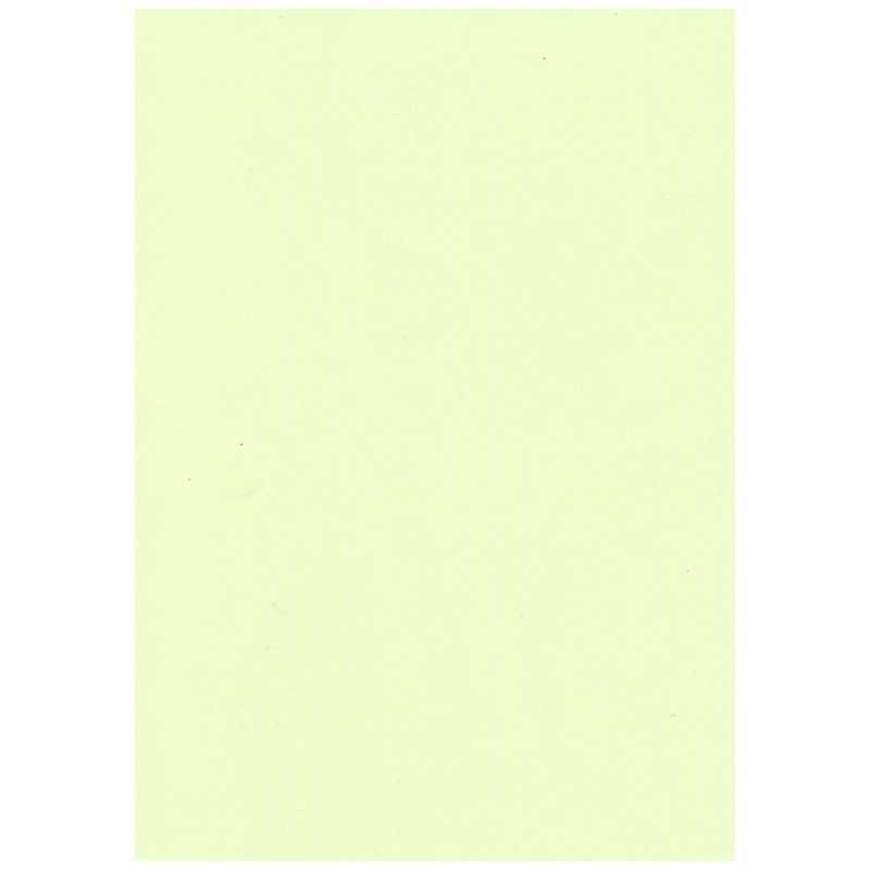 紀州製紙 紀州製紙 NEWファインカラー ライトグリーン(B5サイズ･500枚) NEWファインカラーB5500 NEWファインカラーB5500