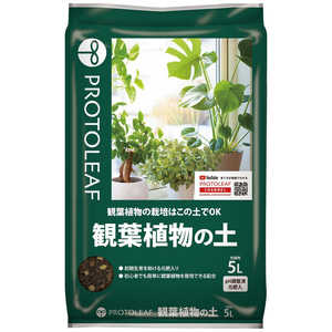 プロトリーフ 観葉植物の土 5L カンヨウショクブツノド プロトリーフ 観葉植物の土 5L カンヨウショクブツノド