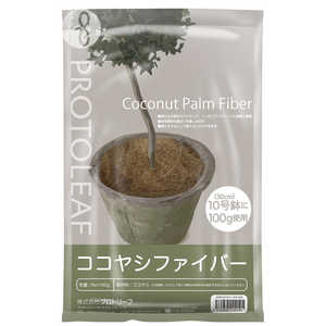 vg[t i`100g RRVt@Co[