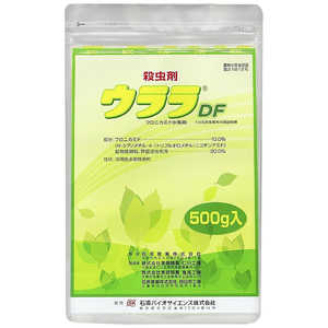 �Ό��o�C�I �E���� (�_��) �E����DF (500g) 2056893