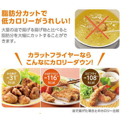 オークローンマーケティング ショップジャパン カラットフライヤー