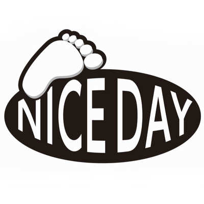 ショップジャパン 健康ステッパー ナイスデイ (レッド) NICE01KD