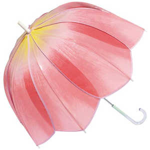 ワールドパーティー 雨傘 ビニール傘 長傘 チューリップアンブレラ Wpc. [ 61cm ] ピンク PT-TU01-001