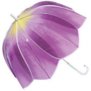 ワールドパーティー 雨傘 ビニール傘 長傘 チューリップアンブレラ Wpc. [ 61cm ] パープル PT-TU03-001
