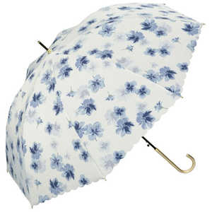 ɥѡƥ  Ĺ 쥢 Wpc. [ ǥ / 58cm ]  3813-04-001