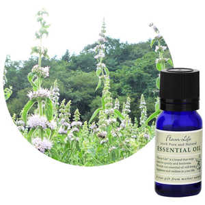 フレーバーライフ社 フレーバーライフ エッセンシャルオイル 薄荷 10mL 32 フレーバーライフ社 フレーバーライフ エッセンシャルオイル 薄荷 10mL 32