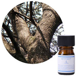 フレーバーライフ社 クイーンメリー オーガニックエッセンシャルオイル シダーウッド・アトラス 5mL クイーンメリー 614