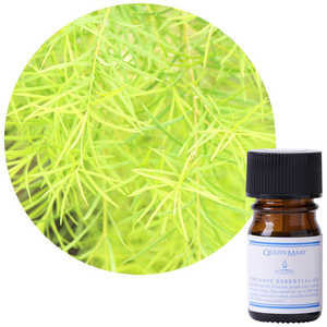 フレーバーライフ社 クイーンメリー オーガニックエッセンシャルオイル ティートリー 5mL クイーンメリー 626 フレーバーライフ社 クイーンメリー オーガニックエッセンシャルオイル ティートリー 5mL クイーンメリー 626