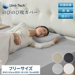 篠原化学 快眠タイムズ のびのび枕カバー(同色2枚組)35～50×50～70cm 快眠タイムズ ［フリーサイズ / ワンタッチタイプ］ アイボリー KMT-PC-3550-5070-IV