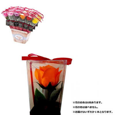 九州フラワーサービス ケリーブーケワイン 6色アソート の通販 