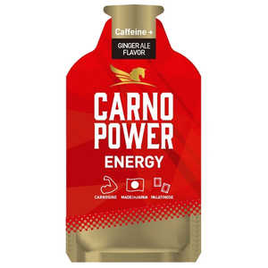 �������ʱ��ܲʳ� ����ΥѥENERGY (40g) ���󥸥㡼������̣