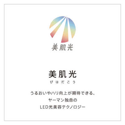 ヤーマン 美顔器スチーマー フォトケア コフレセット YJSB0N-1 の通販