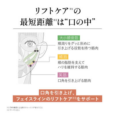 ヤーマン 電動歯ブラシ オーラルリフト [ 音波振動式 ] YOC-OL1B の