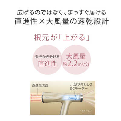 ヤーマン 艶髪ドライヤー リフトドライヤー スマート ゴールド YJHC2N