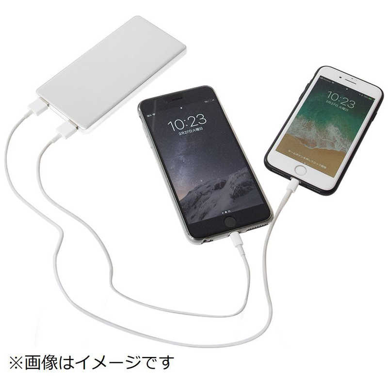 TAG label by amadana TAG label by amadana スマートフォン対応 [USB給電] モバイルバッテリー シルバー [10000mAh /USB PD対応･QC対応 /3ポート /充電タイプ] AT-MBA100PD-SV AT-MBA100PD-SV