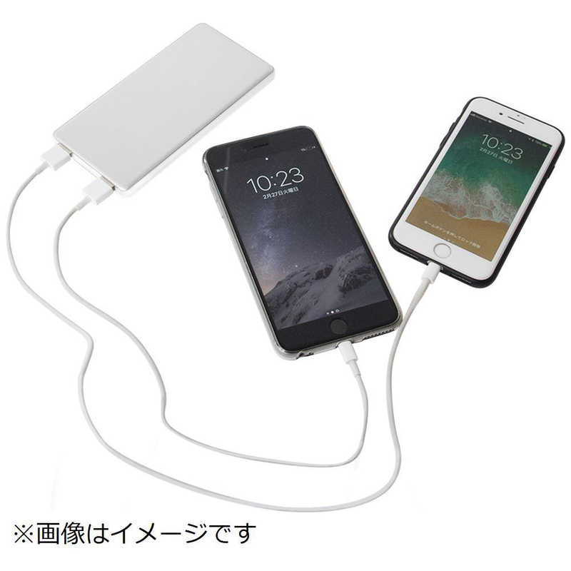 TAG label by amadana TAG label by amadana スマートフォン対応 [USB給電] モバイルバッテリー シルバー [10000mAh /USB Power Delivery･Quick Charge対応 /3ポート /充電タイプ] AT-MBA100PD-SV AT-MBA100PD-SV