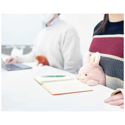 DREAMS ふんばるず ちいかわ ハチワレ VRT42898 の通販 - カテゴリ