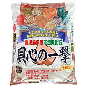 サンアンドホープ 天然貝化石 貝心の一撃 5kg 