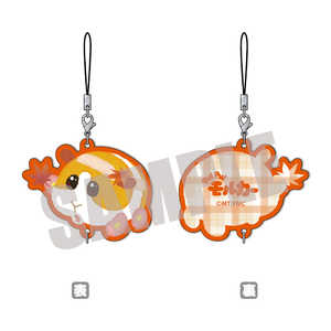 ӥͥå 6.PUI PUI 륫 󥳥쥯 ݥƥ AUTUMN ver.