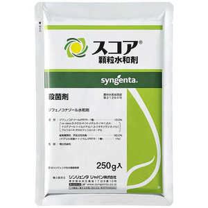 �V���W�F���^ �E�ۍ� (�_��) �X�R�A�������a�� (250g) 2056582