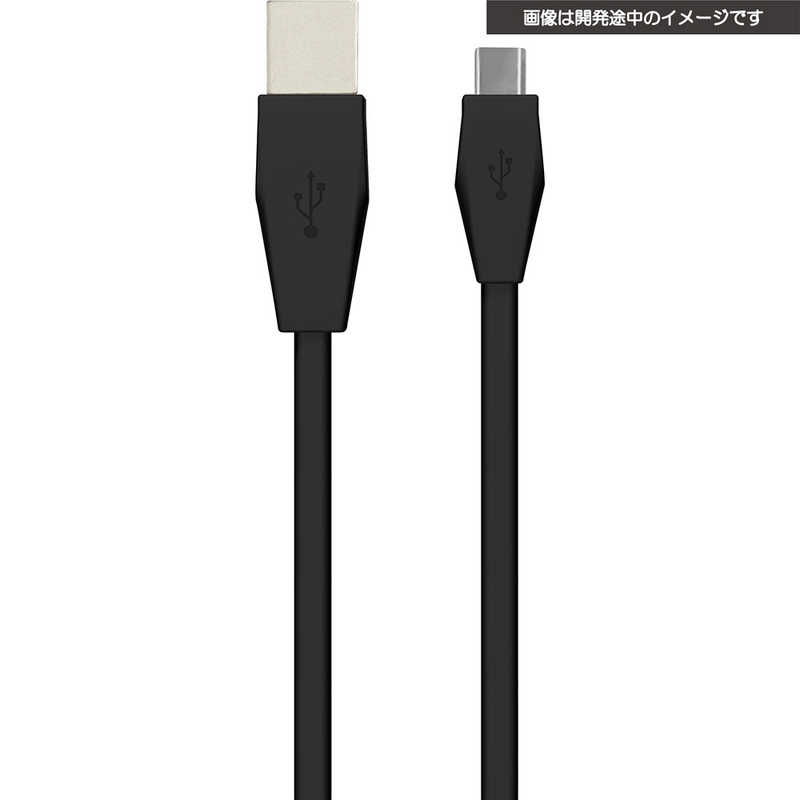 受注生産品 サイバーガジェット 最安値で SWITCH用 USB充電フラットケーブル ｽｲｯﾁUSBﾌﾗｯﾄｹｰﾌﾞﾙ3M 3m