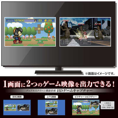 サイバーガジェット PS4 SWITCH対応 ゲームキャプチャー DUAL CY