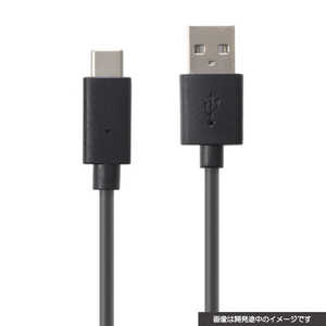 �����С��������å� Switch2��USB-A to Type-C���ť����֥�2.5m CY-S2USB25AC-BK