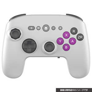 �T�C�o�[�K�W�F�b�g Switch2�p���g���X�^�C���Q�[���p�b�h6B�����^�C�v ���g���O���[ �mSWITCH2�n CY-S2RSGP6BWR-GY