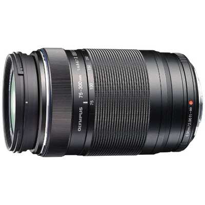 olympus 300mm
