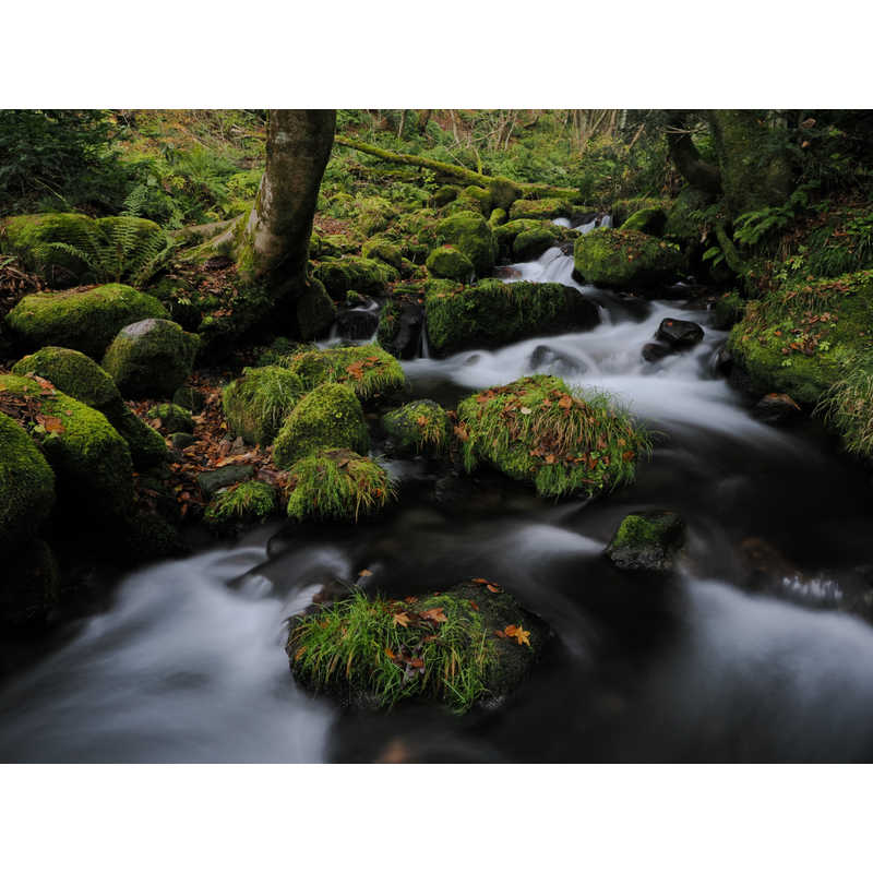 OMSYSTEM OMSYSTEM カメラレンズ M.ZUIKO DIGITAL ED 12-40mm F2.8 PRO II (マイクロフォーサーズ /ズームレンズ)  
