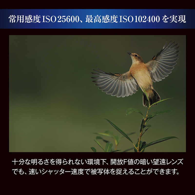 OMSYSTEM OMSYSTEM ミラーレス一眼カメラ レンズキット OM112100MMF4.0PRO OM112100MMF4.0PRO