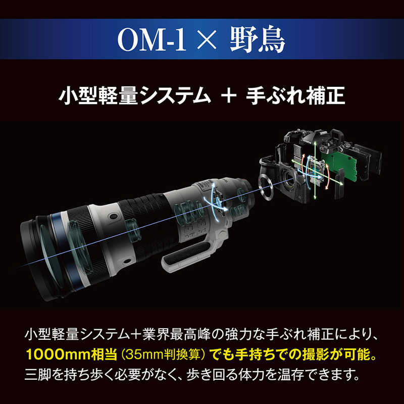 OMSYSTEM OMSYSTEM ミラーレス一眼カメラ レンズキット OM112100MMF4.0PRO OM112100MMF4.0PRO
