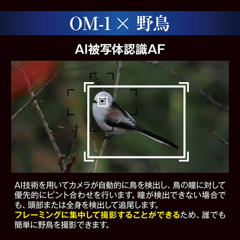 OMSYSTEM OMSYSTEM ミラーレス一眼カメラ レンズキット OM112100MMF4.0PRO OM112100MMF4.0PRO
