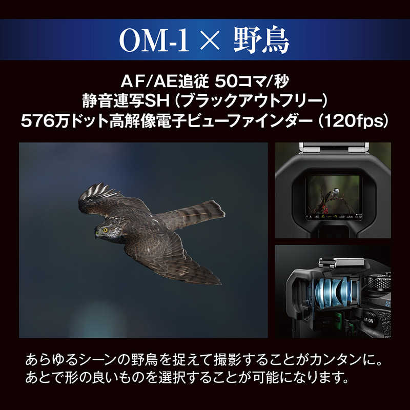OMSYSTEM OMSYSTEM ミラーレス一眼カメラ レンズキット OM112100MMF4.0PRO OM112100MMF4.0PRO