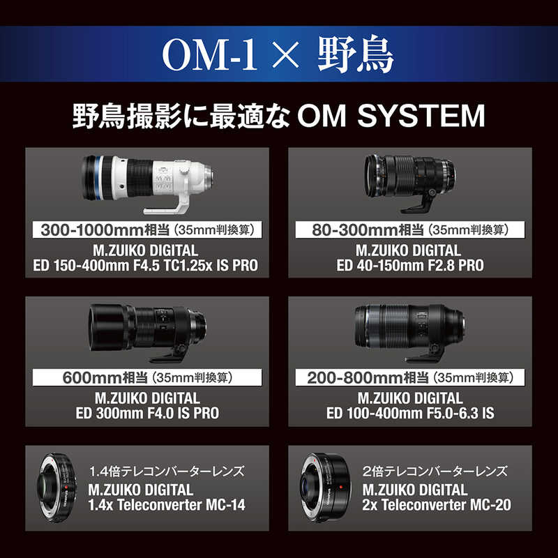 OMSYSTEM OMSYSTEM ミラーレス一眼カメラ(レンズキット)ブラック OM112100MMF4.0PRO OM112100MMF4.0PRO