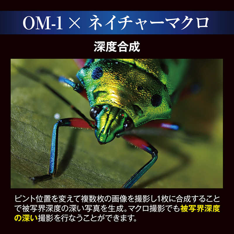 OMSYSTEM OMSYSTEM ミラーレス一眼カメラ レンズキット OM112100MMF4.0PRO OM112100MMF4.0PRO
