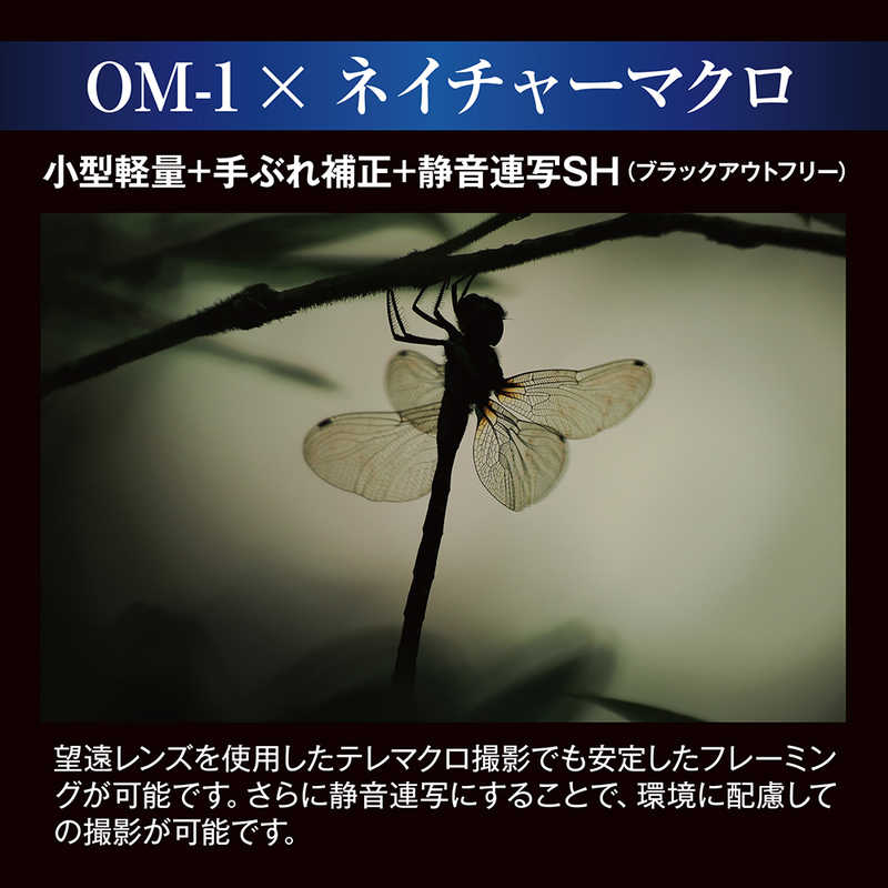 OMSYSTEM OMSYSTEM ミラーレス一眼カメラ レンズキット OM112100MMF4.0PRO OM112100MMF4.0PRO