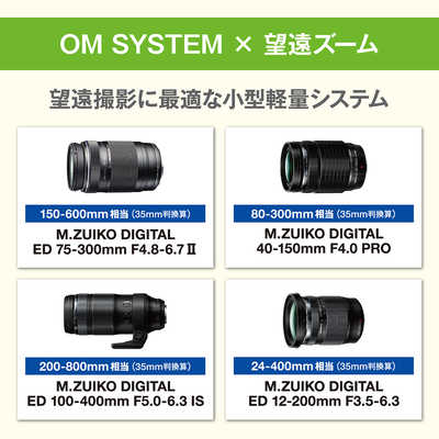 OMSYSTEM カメラレンズ M.ZUIKO DIGITAL ED 75-300mm F4.8-6.7